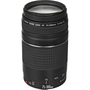 Canon-EF-75-300mm-f4-5.6-III-Tele-Zoom-Full-Frame-Lens