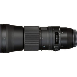 Sigma-150-600mm-f5-6.3-DG-OS-HSM-Telephoto-Full-Frame-Lens-For-Nikon-Canon-7